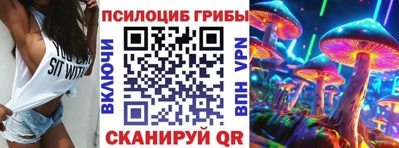 МЕГА как войти  Волжский  Псилоцибиновые грибы Cubensis 