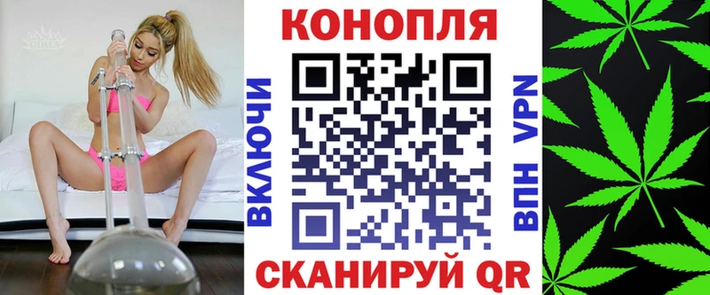 где купить   Волжский  Бошки Шишки планчик 